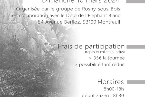 affiche sesshin rosny 10 mars